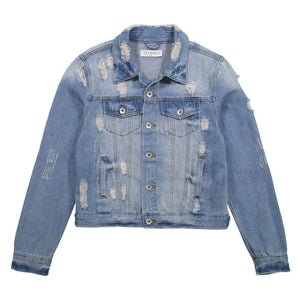 Shree Embellished Denim Jacket